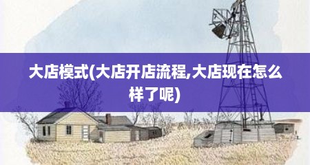 大店模式(大店开店流程,大店现在怎么样了呢)