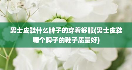 男士皮鞋什么牌子的穿着舒服(男士皮鞋哪个牌子的鞋子质量好)