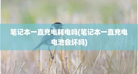 笔记本一直充电耗电吗(笔记本一直充电电池会坏吗)