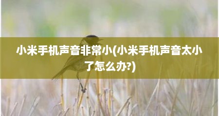 小米手机声音非常小(小米手机声音太小了怎么办?)