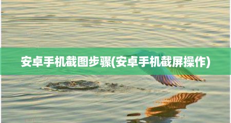 安卓手机截图步骤(安卓手机截屏操作)