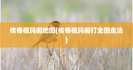 传奇祖玛阁地图(传奇祖玛阁打全图走法)