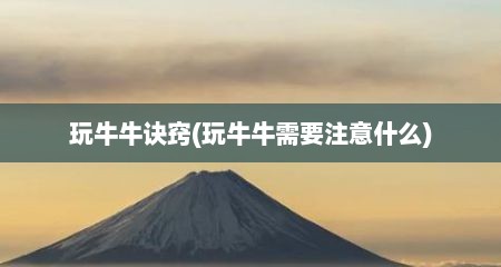 玩牛牛诀窍(玩牛牛需要注意什么)