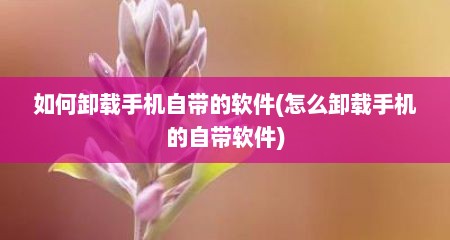 如何卸载手机自带的软件(怎么卸载手机的自带软件)