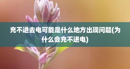 充不进去电可能是什么地方出现问题(为什么会充不进电)