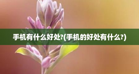 手机有什么好处?(手机的好处有什么?)