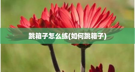 跳箱子怎么练(如何跳箱子)