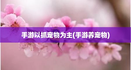 手游以抓宠物为主(手游养宠物)