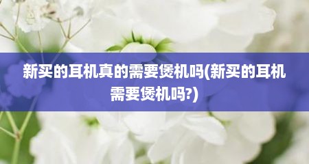 新买的耳机真的需要煲机吗(新买的耳机需要煲机吗?)