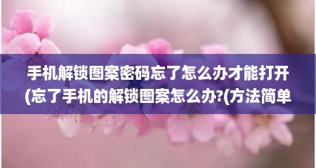 手机解锁图案密码忘了怎么办才能打开(忘了手机的解锁图案怎么办?(方法简单点))