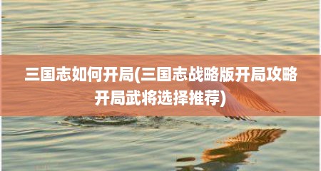 三国志如何开局(三国志战略版开局攻略开局武将选择推荐)