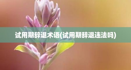 试用期辞退术语(试用期辞退违法吗)
