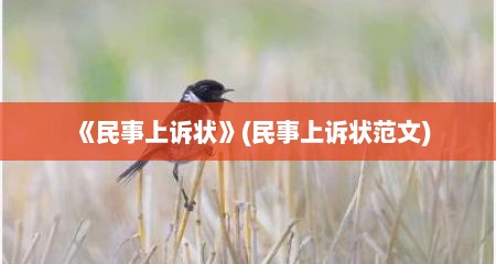 《民事上诉状》(民事上诉状范文)