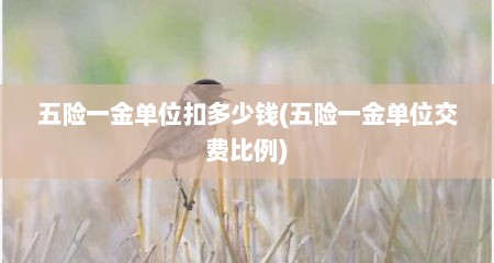 五险一金单位扣多少钱(五险一金单位交费比例)