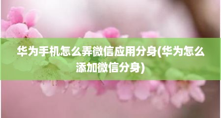 华为手机怎么弄微信应用分身(华为怎么添加微信分身)