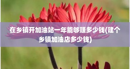 在乡镇开加油站一年能够赚多少钱(建个乡镇加油店多少钱)