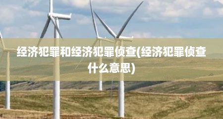 经济犯罪和经济犯罪侦查(经济犯罪侦查什么意思)