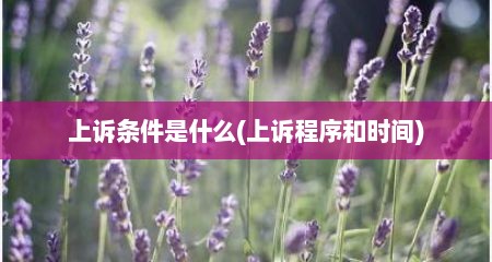上诉条件是什么(上诉程序和时间)