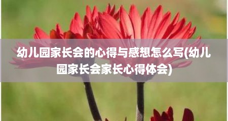 幼儿园家长会的心得与感想怎么写(幼儿园家长会家长心得体会)