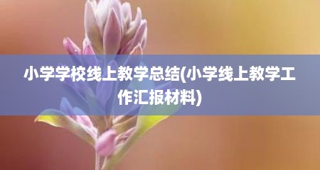 小学学校线上教学总结(小学线上教学工作汇报材料)