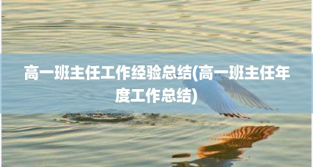高一班主任工作经验总结(高一班主任年度工作总结)