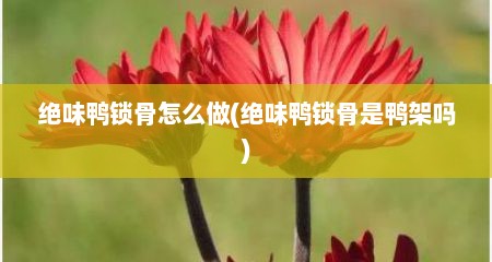 绝味鸭锁骨怎么做(绝味鸭锁骨是鸭架吗)