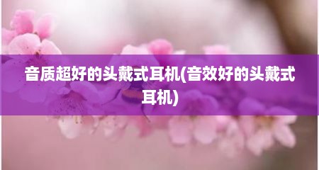 音质超好的头戴式耳机(音效好的头戴式耳机)