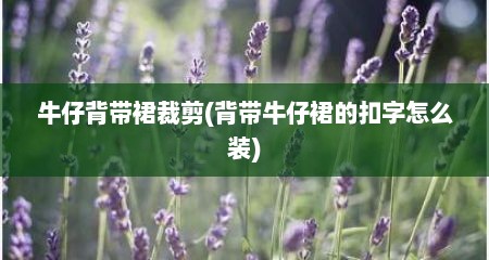 牛仔背带裙裁剪(背带牛仔裙的扣字怎么装)