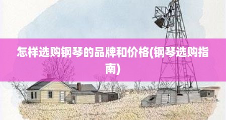 怎样选购钢琴的品牌和价格(钢琴选购指南)