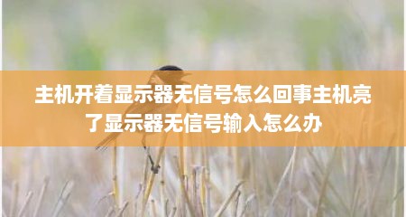 主机开着显示器无信号怎么回事主机亮了显示器无信号输入怎么办