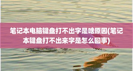 笔记本电脑键盘打不出字是啥原因(笔记本键盘打不出来字是怎么回事)