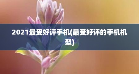 2021最受好评手机(最受好评的手机机型)