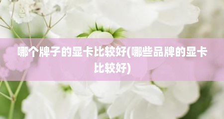 哪个牌子的显卡比较好(哪些品牌的显卡比较好)