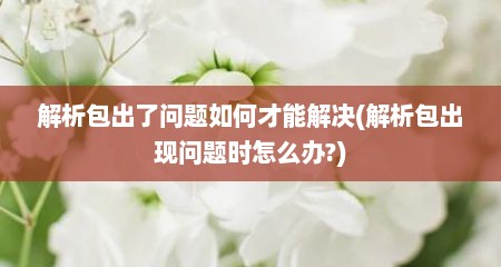 解析包出了问题如何才能解决(解析包出现问题时怎么办?)