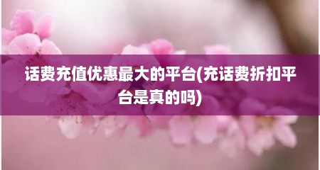 话费充值优惠最大的平台(充话费折扣平台是真的吗)