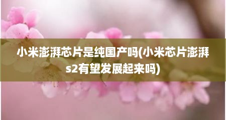 小米澎湃芯片是纯国产吗(小米芯片澎湃s2有望发展起来吗)