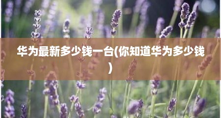 华为最新多少钱一台(你知道华为多少钱)