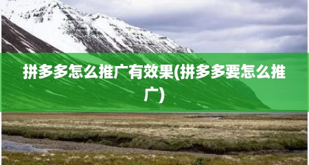 拼多多怎么推广有效果(拼多多要怎么推广)