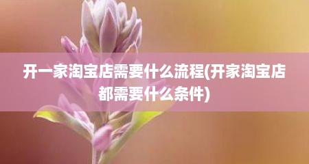 开一家淘宝店需要什么流程(开家淘宝店都需要什么条件)