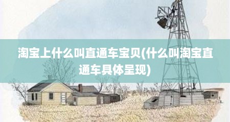 淘宝上什么叫直通车宝贝(什么叫淘宝直通车具体呈现)