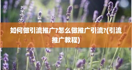 如何做引流推广?怎么做推广引流?(引流推广教程)