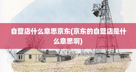 自营店什么意思京东(京东的自营店是什么意思啊)