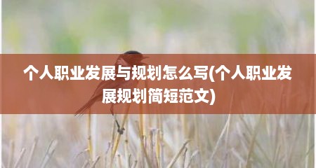 个人职业发展与规划怎么写(个人职业发展规划简短范文)