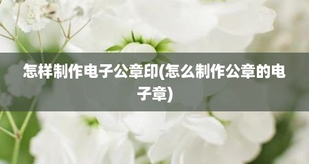 怎样制作电子公章印(怎么制作公章的电子章)