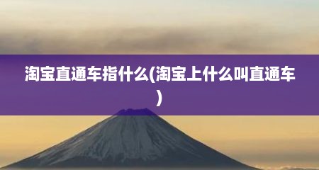 淘宝直通车指什么(淘宝上什么叫直通车)