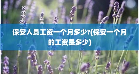 保安人员工资一个月多少?(保安一个月的工资是多少)