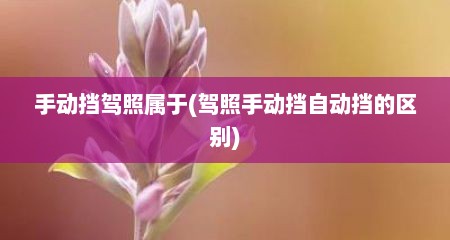 手动挡驾照属于(驾照手动挡自动挡的区别)