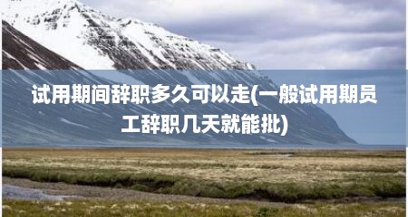 试用期间辞职多久可以走(一般试用期员工辞职几天就能批)