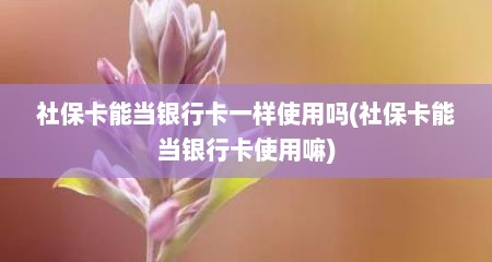 社保卡能当银行卡一样使用吗(社保卡能当银行卡使用嘛)