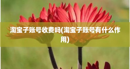 淘宝子账号收费吗(淘宝子账号有什么作用)